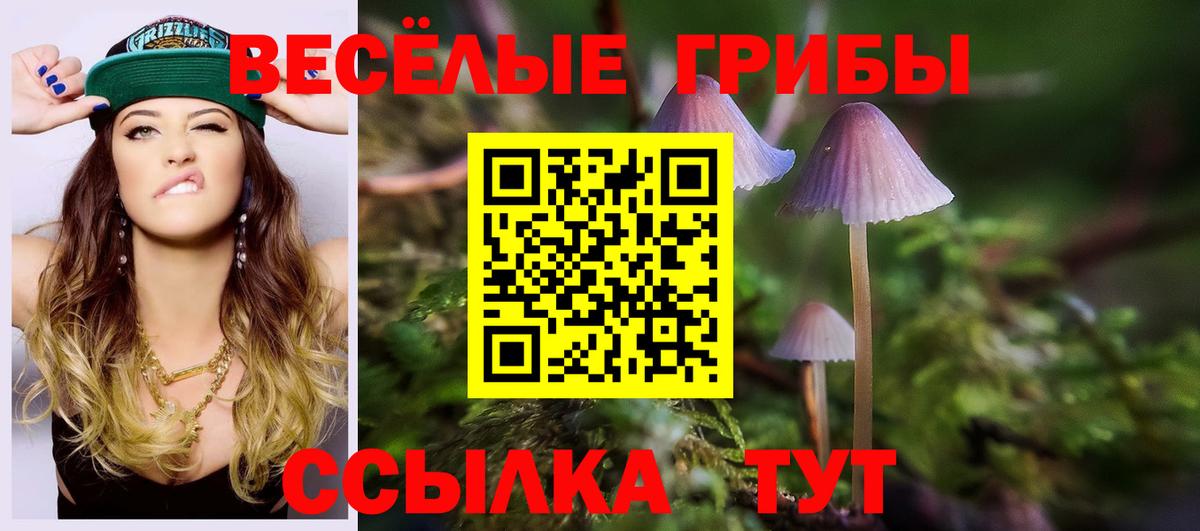 Галлюциногенные грибы Psilocybine cubensis  наркота  Фролово  Галлюциногенные грибы Psilocybine cubensis  Вход с VPN 